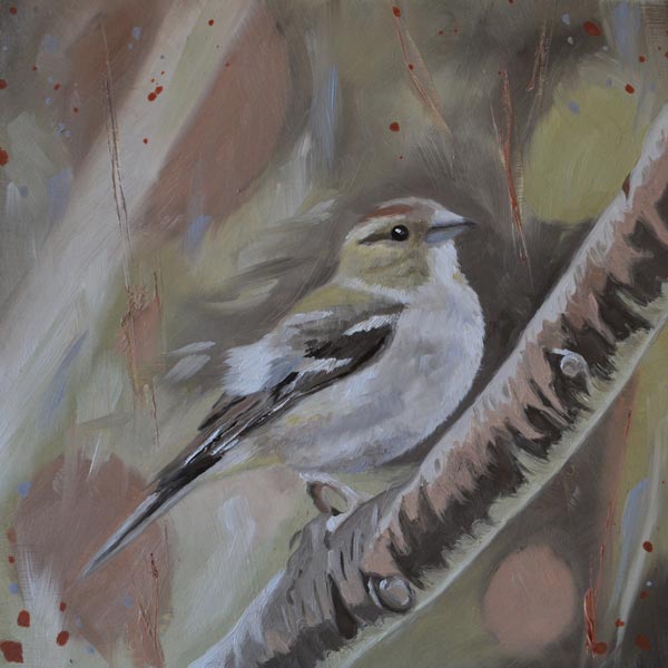 Oil painting of a female chaffinch