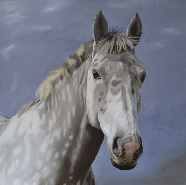 Oil painting of Charlie, a grey draft horse