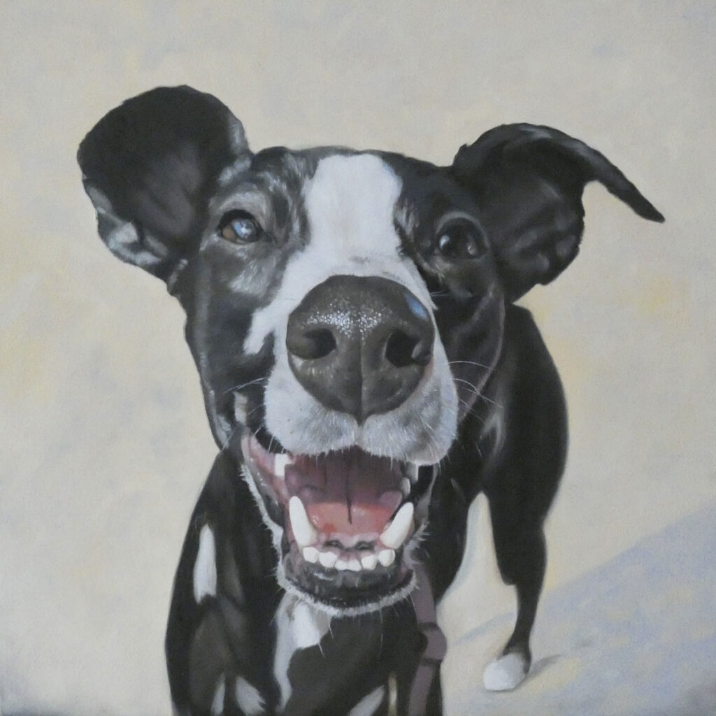 Oil painting of a whippet called Mavis